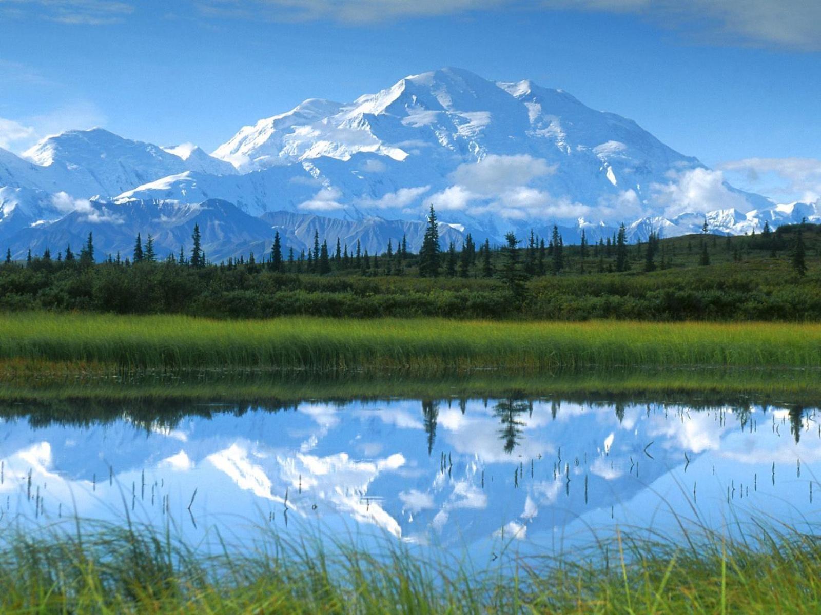 Mckinley Creekside Cabins Denali Park Exterior photo