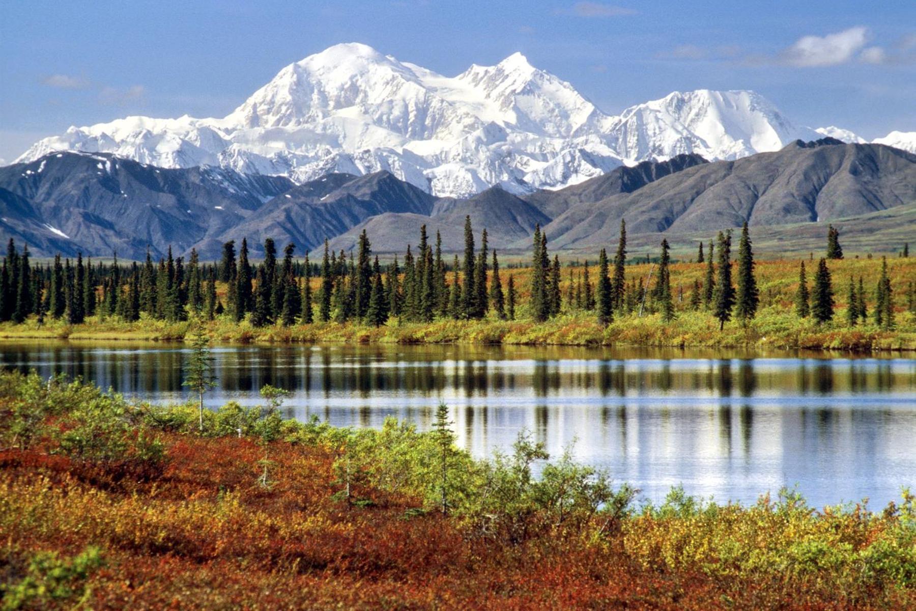 Mckinley Creekside Cabins Denali Park Exterior photo