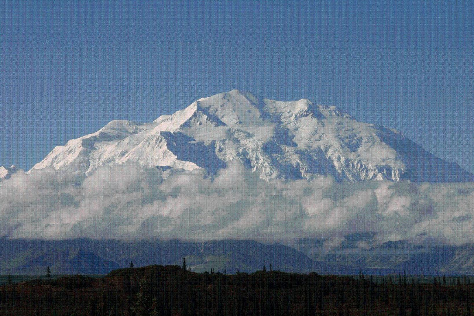 Mckinley Creekside Cabins Denali Park Exterior photo